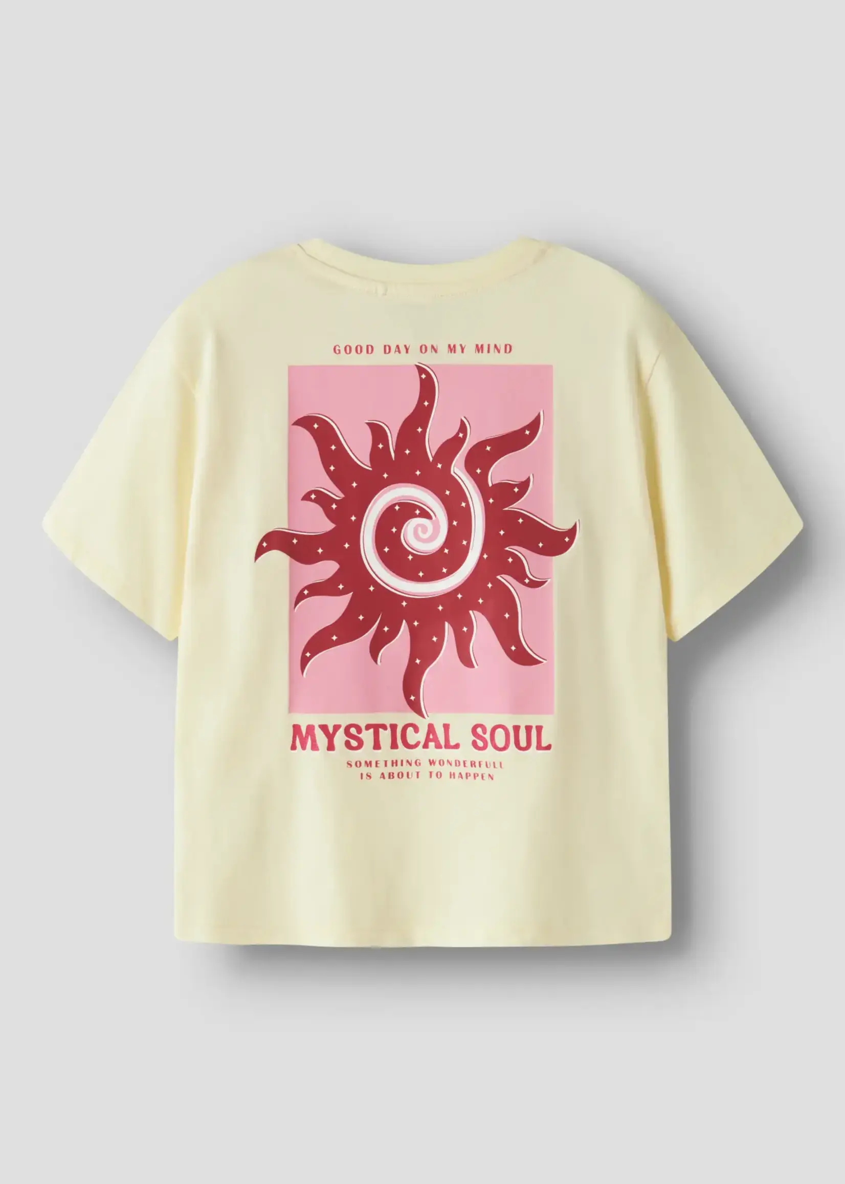 Name It Name it | NKFHERLISE SS NREG TOP BOX - Pear Sorbet