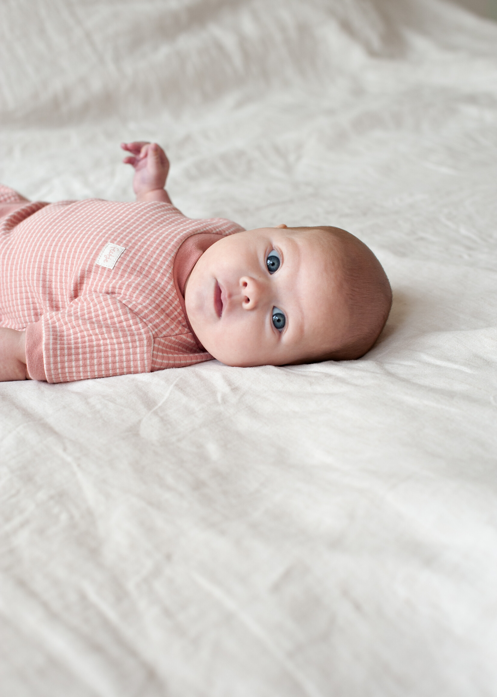 Feetje Feetje | Shortama wafel  Summer Special - Mauve