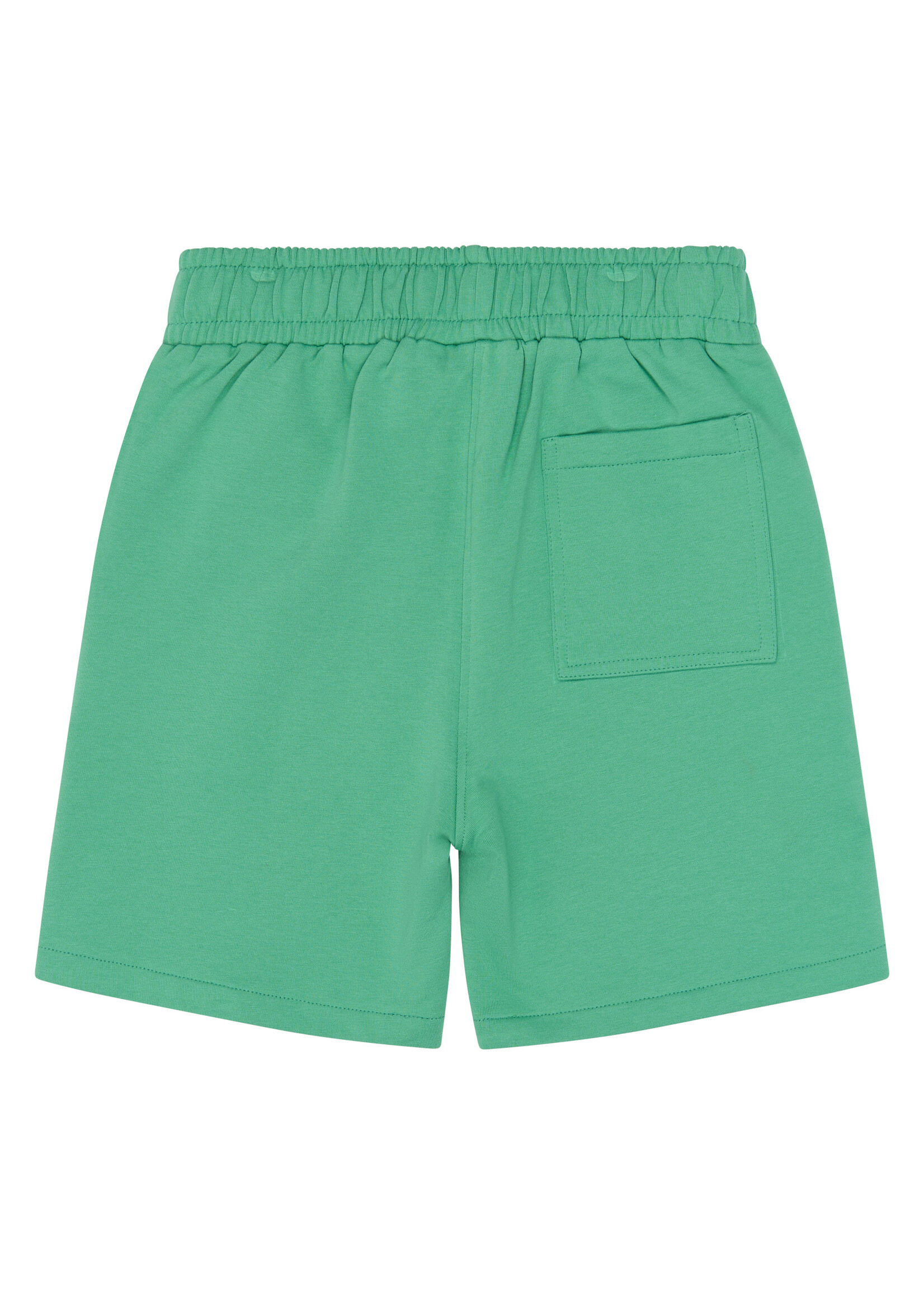 THE NEW THE NEW | TNTitus Sweat Shorts – Créme De Menthe