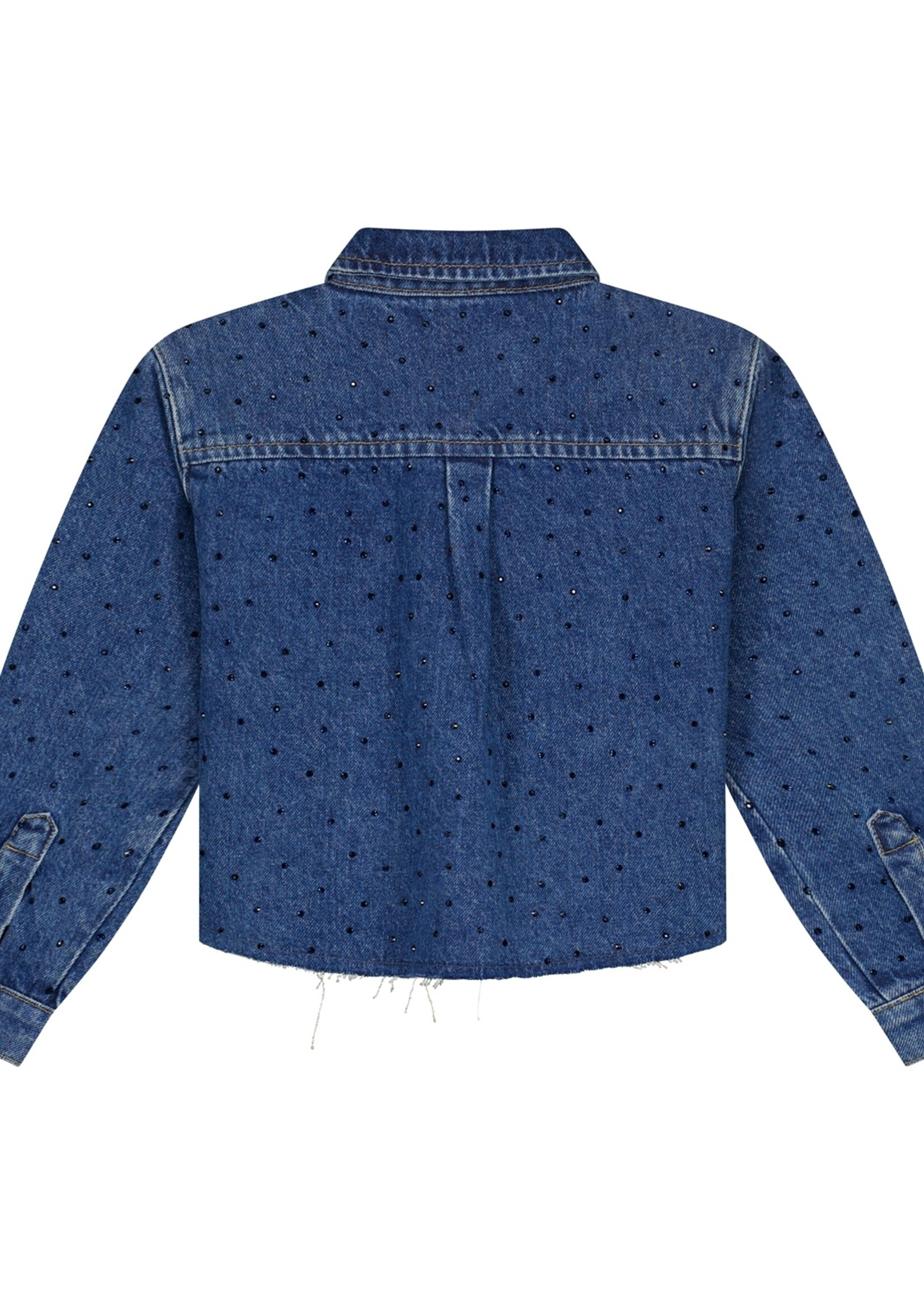 Charlie Petite Charlie Petite | Sage Blouse – Medium Blue