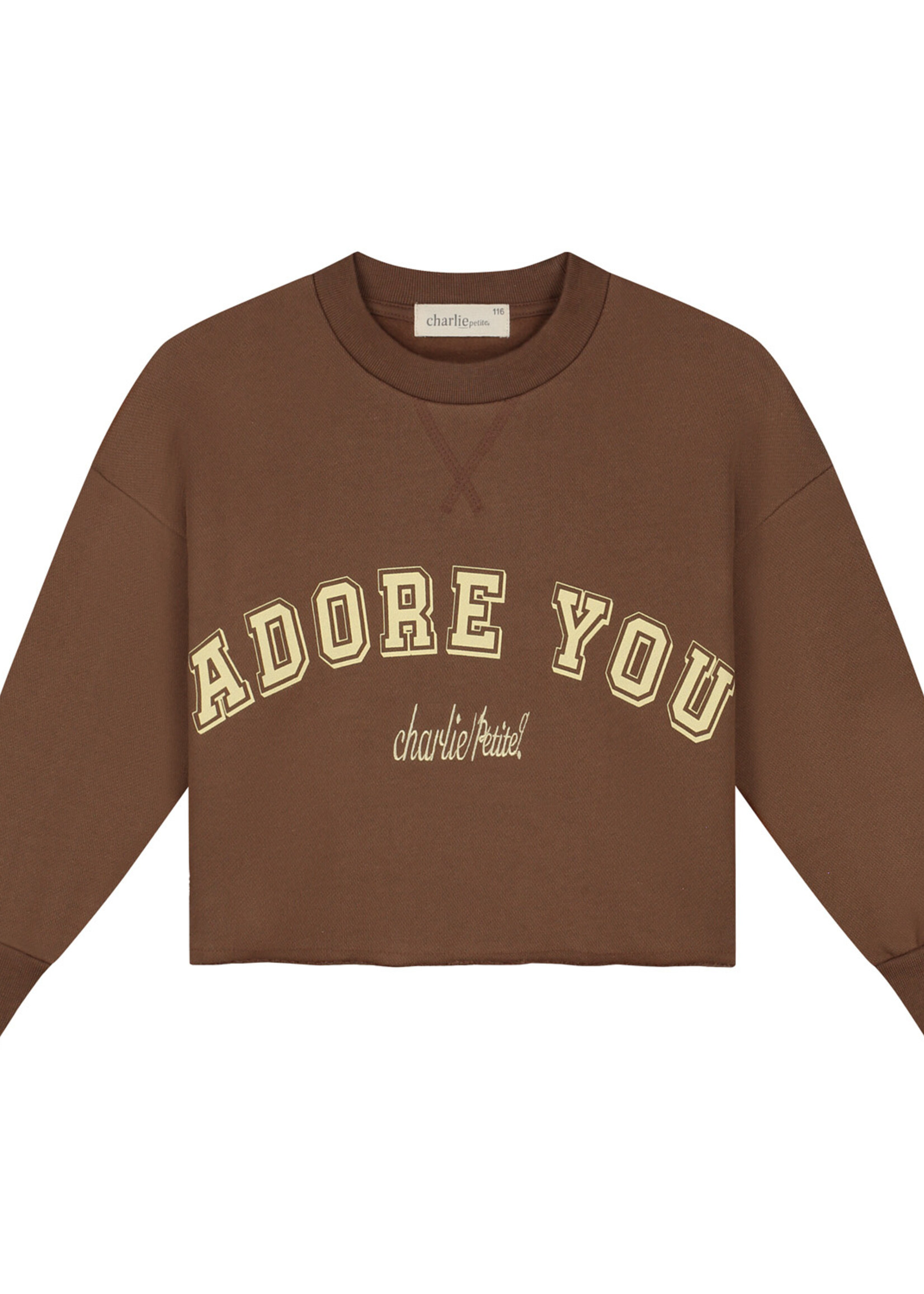 Charlie Petite Charlie Petite | Lux Sweater – Brown