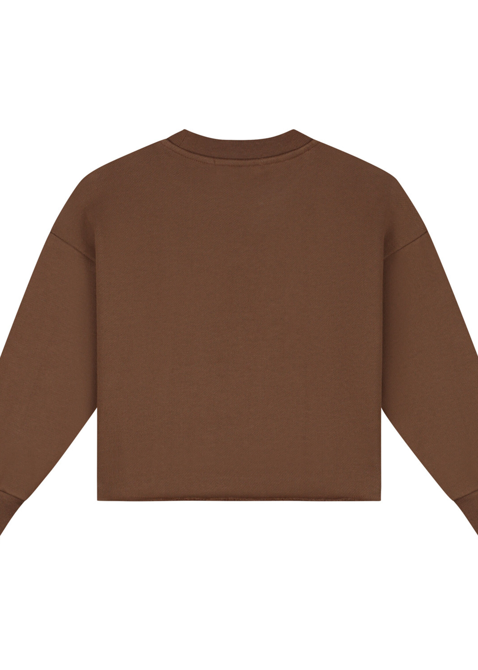 Charlie Petite Charlie Petite | Lux Sweater – Brown