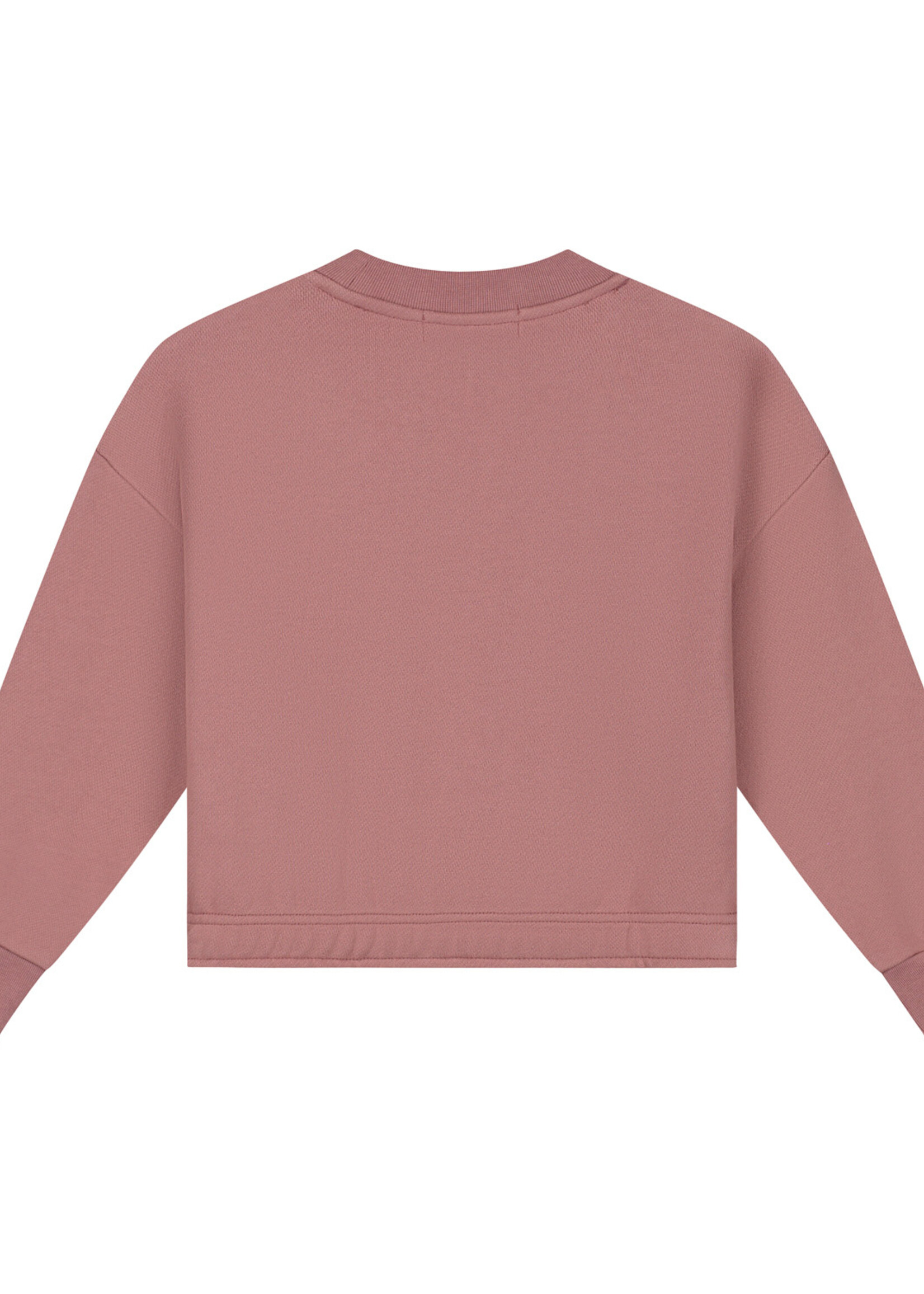 Charlie Petite Charlie Petite | Sara Sweater – Pink