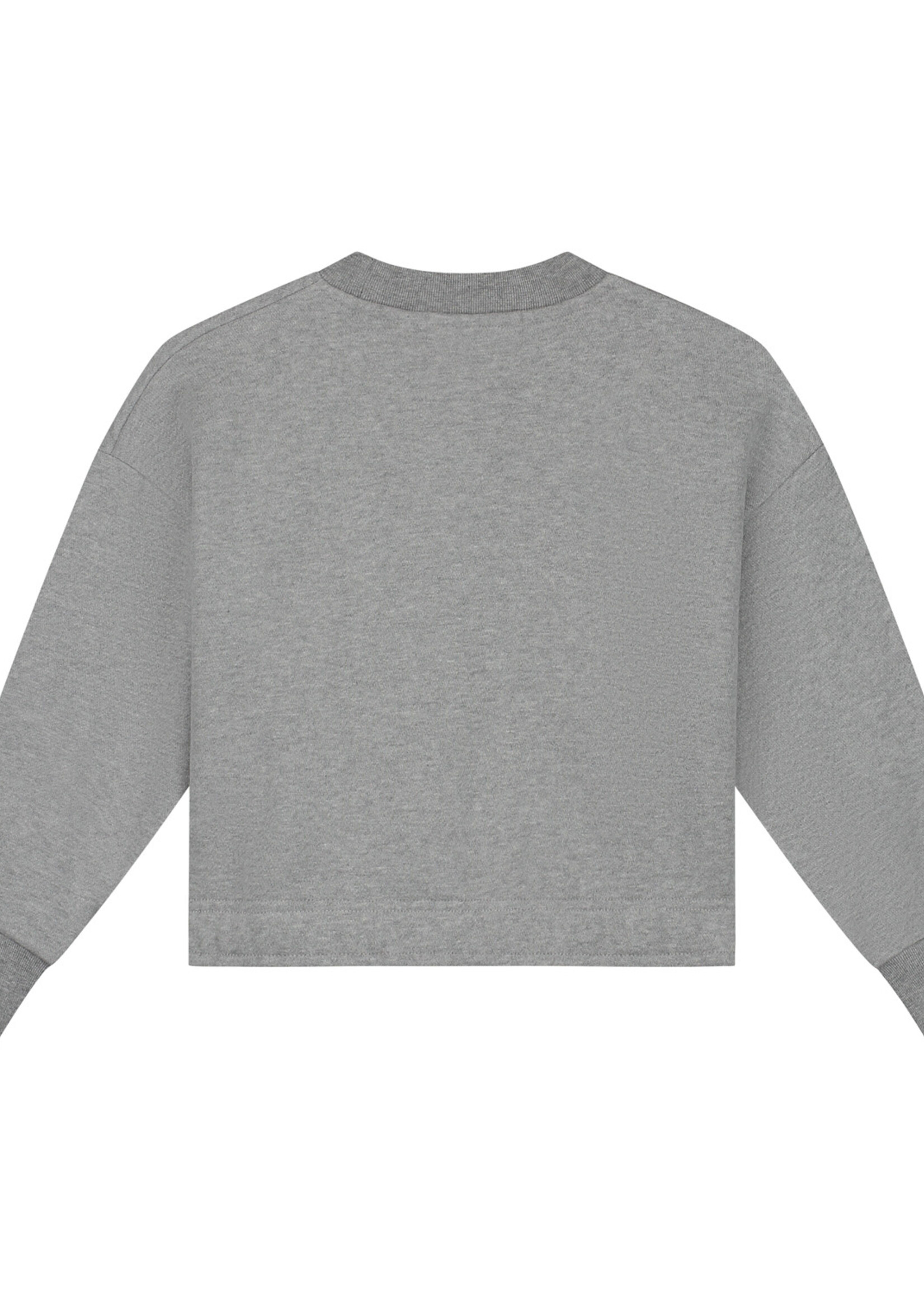 Charlie Petite Charlie Petite | Sara Sweater – Grey Melange