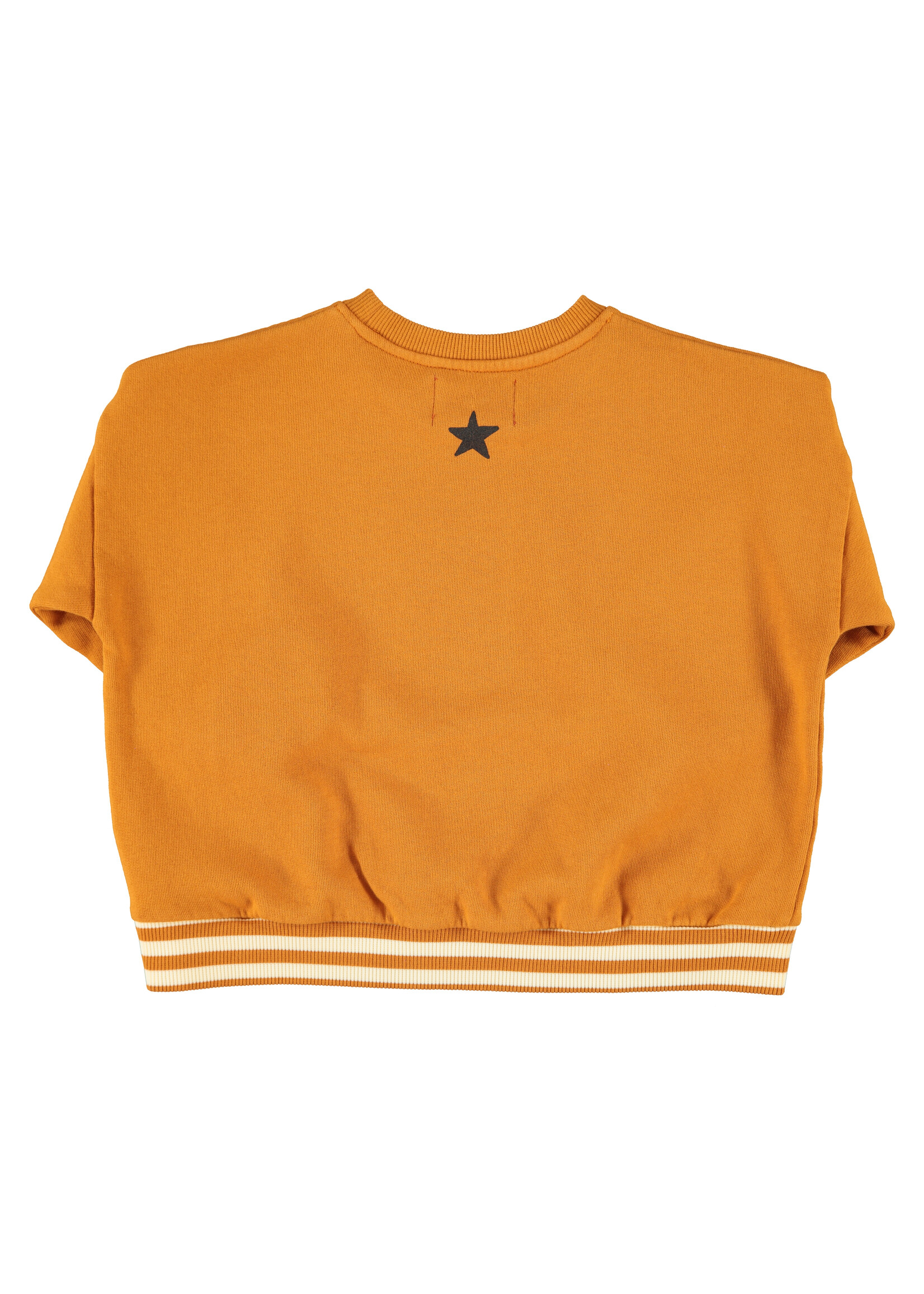 Piupiuchick Piupiuchick | sweatshirt | camel w/ "school trip" print