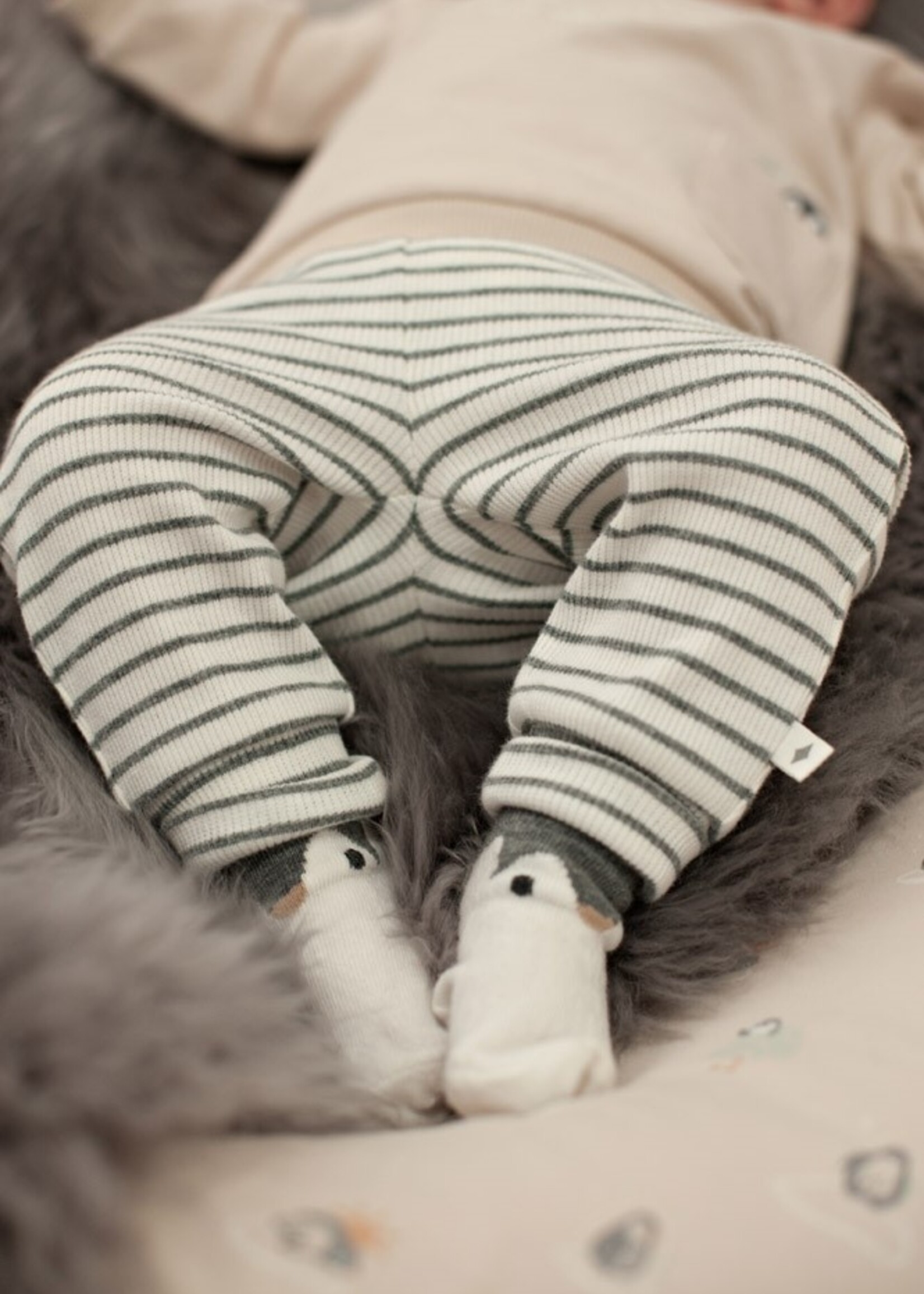 Feetje Feetje | Broek rib met streep - Penguin Cuddles
