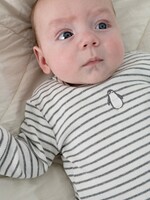 Feetje Feetje | Longsleeve rib met streep - Penguin Cuddles