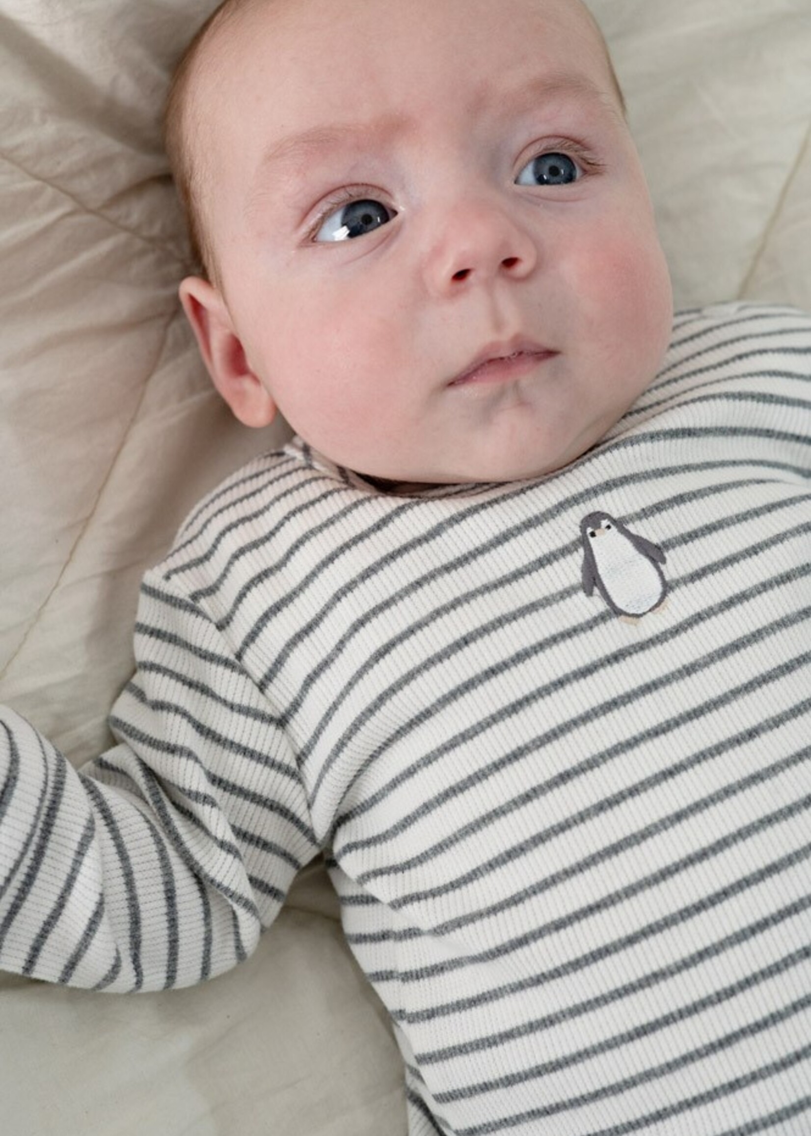 Feetje Feetje | Longsleeve rib met streep - Penguin Cuddles
