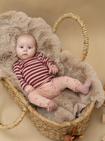 A Tiny Story A Tiny Story | baby t-shirt long sleeve - Dark red 6017