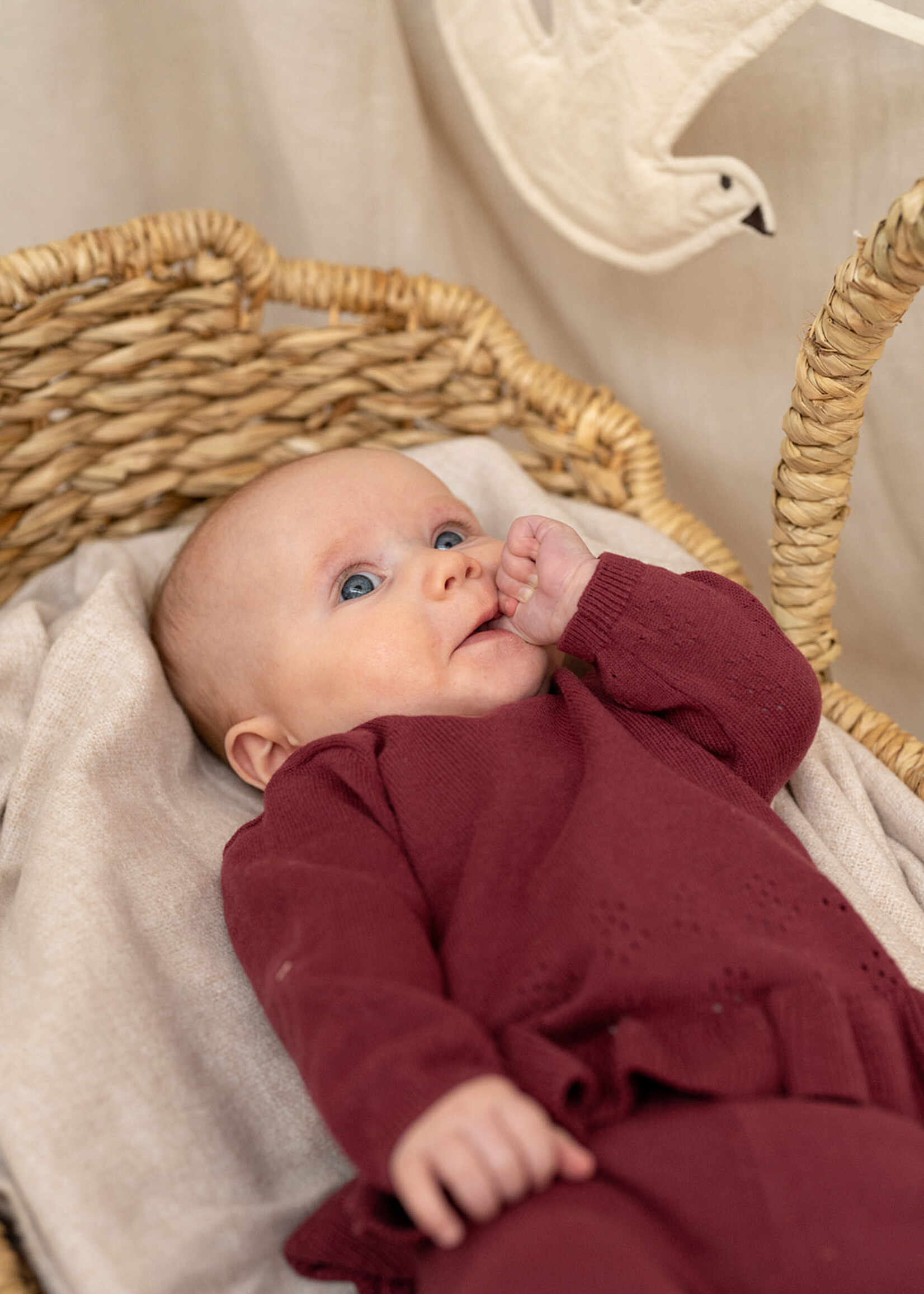 A Tiny Story A Tiny Story | baby pullover – Dark red