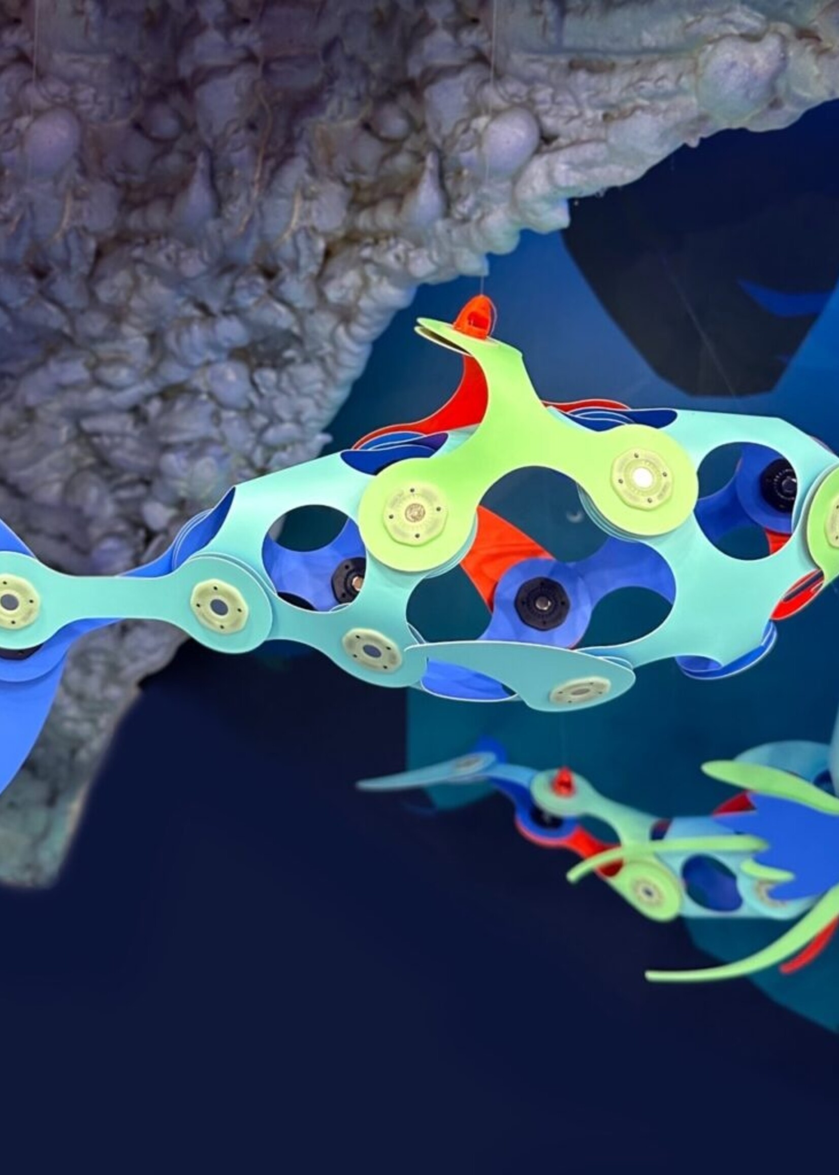 Clixo Clixo | Ocean Creatures - Adventure Pack