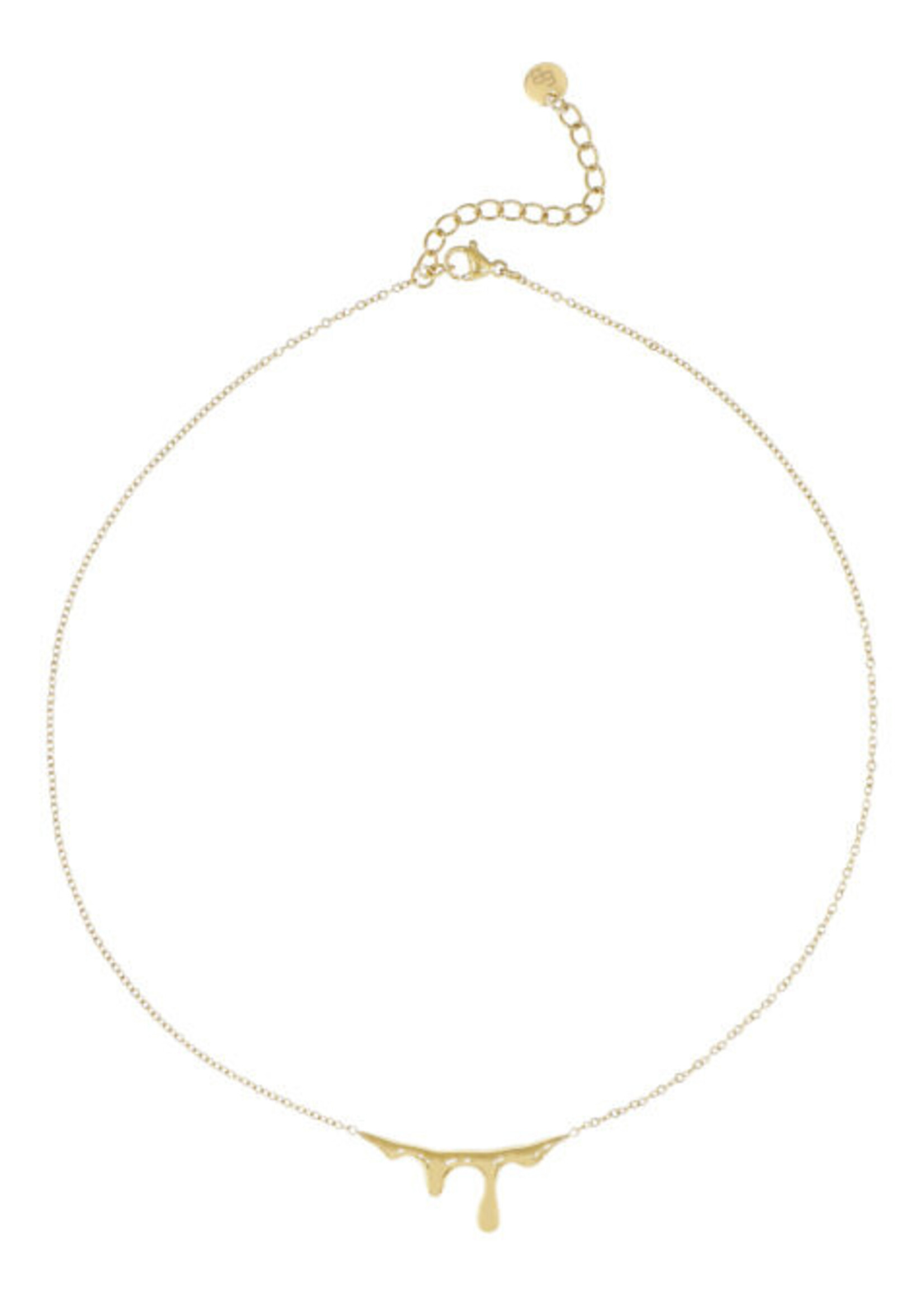 Ellen Beekmans Fijne ketting met organische hanger