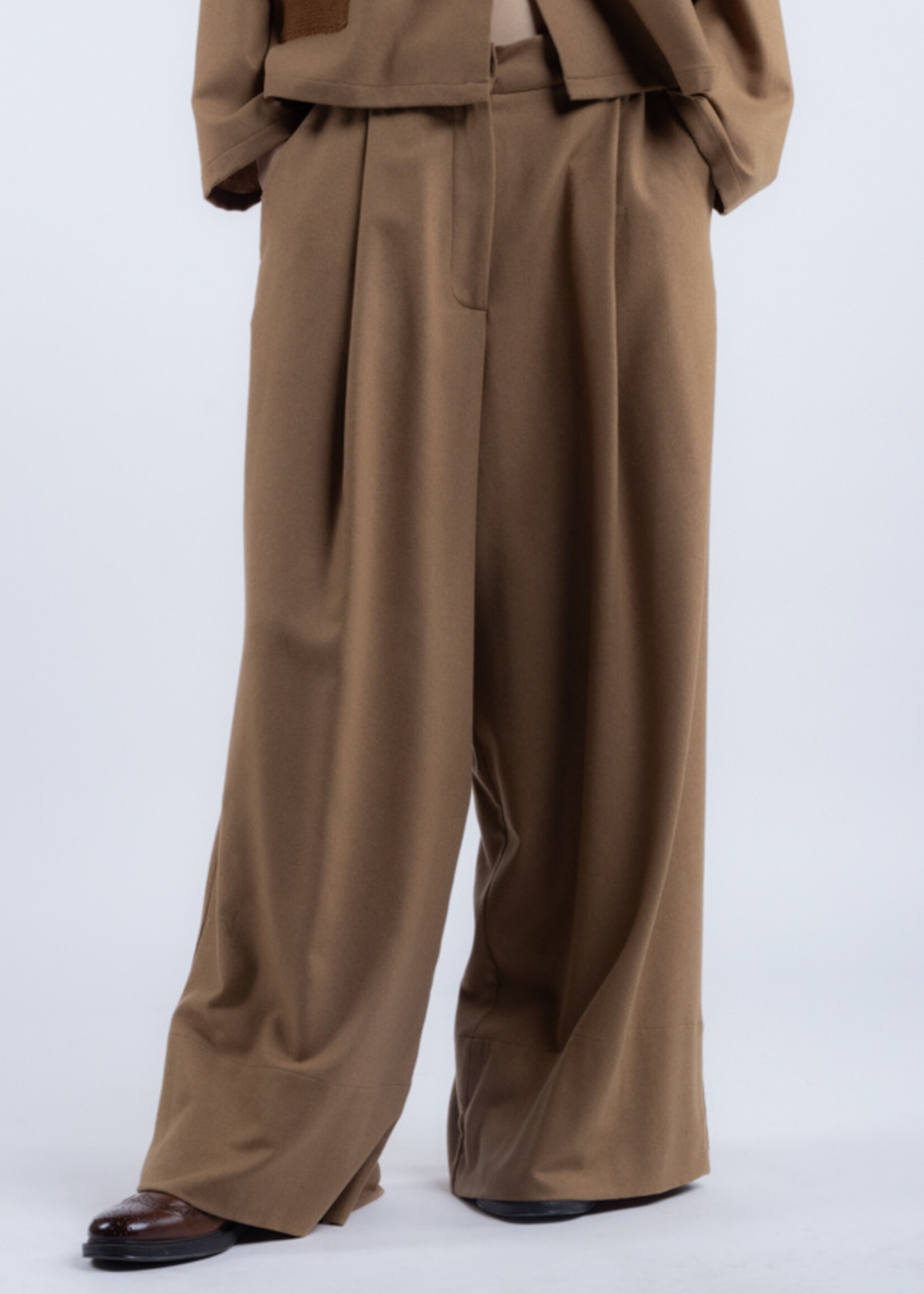 Phisique du role 25W046 Large pants in virgin wool viscose