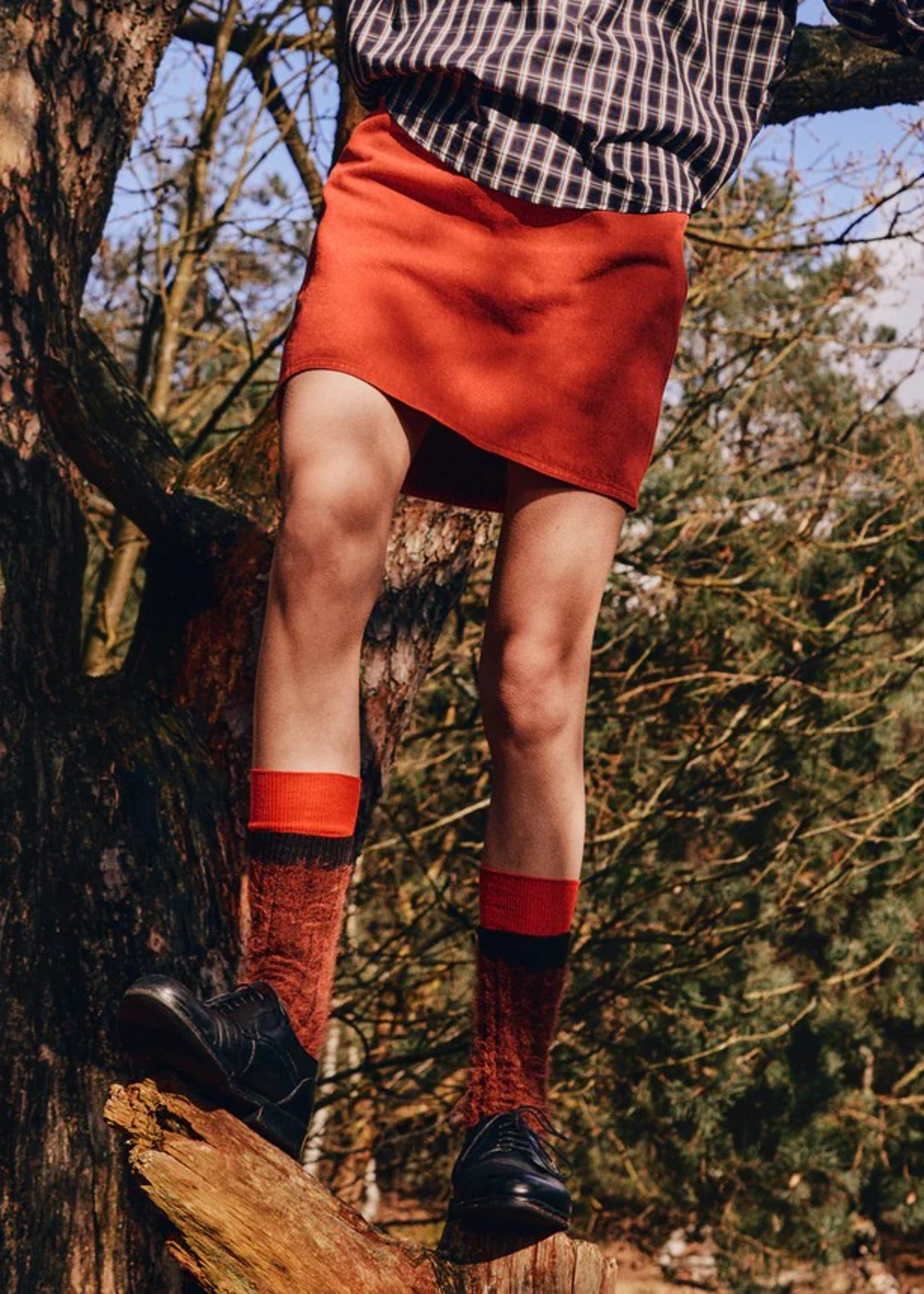 collectors club Scoop