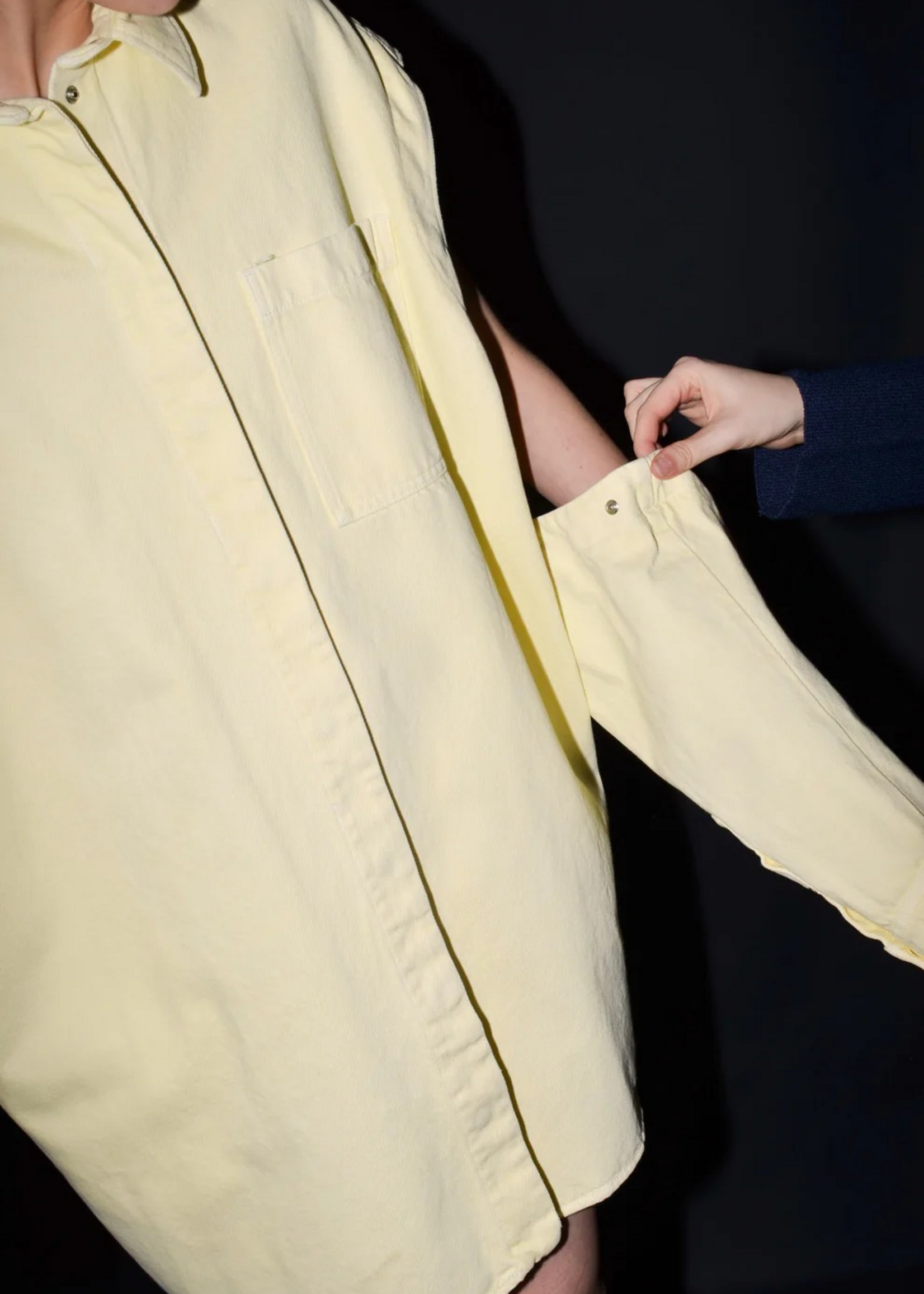 collectors club Denji