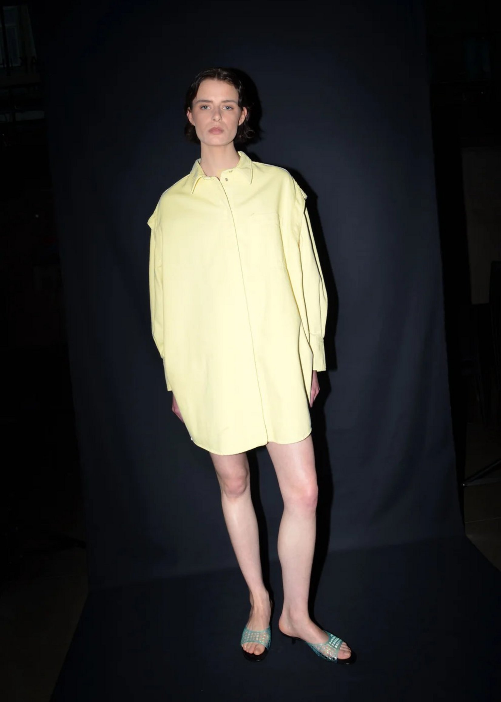 collectors club Denji