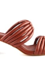 Antenora Antenora - Letitia