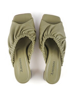 Antenora Antenora - Lucile