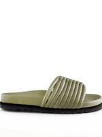 Antenora Antenora - Kaori