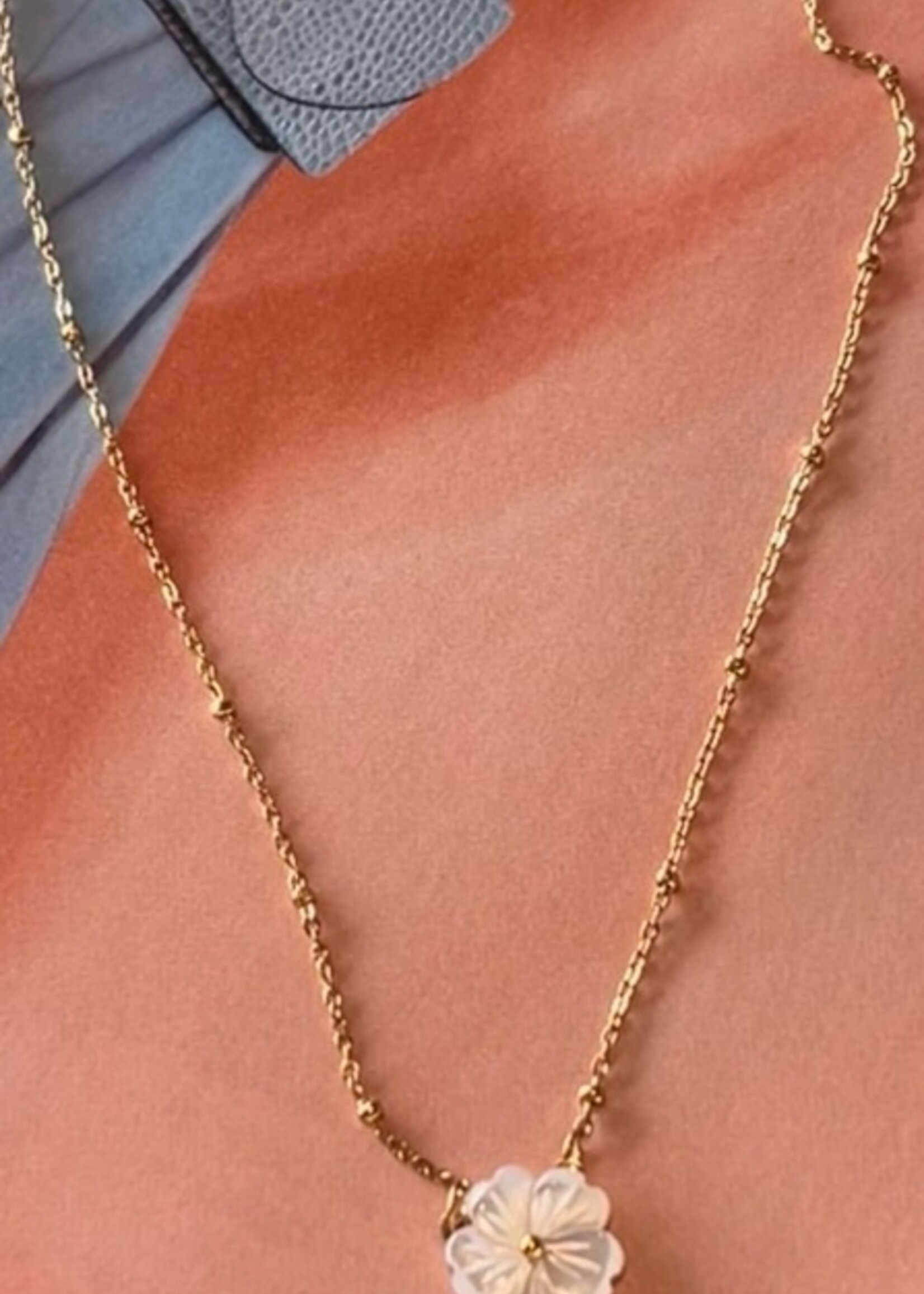 Love Bizarre Flower shell