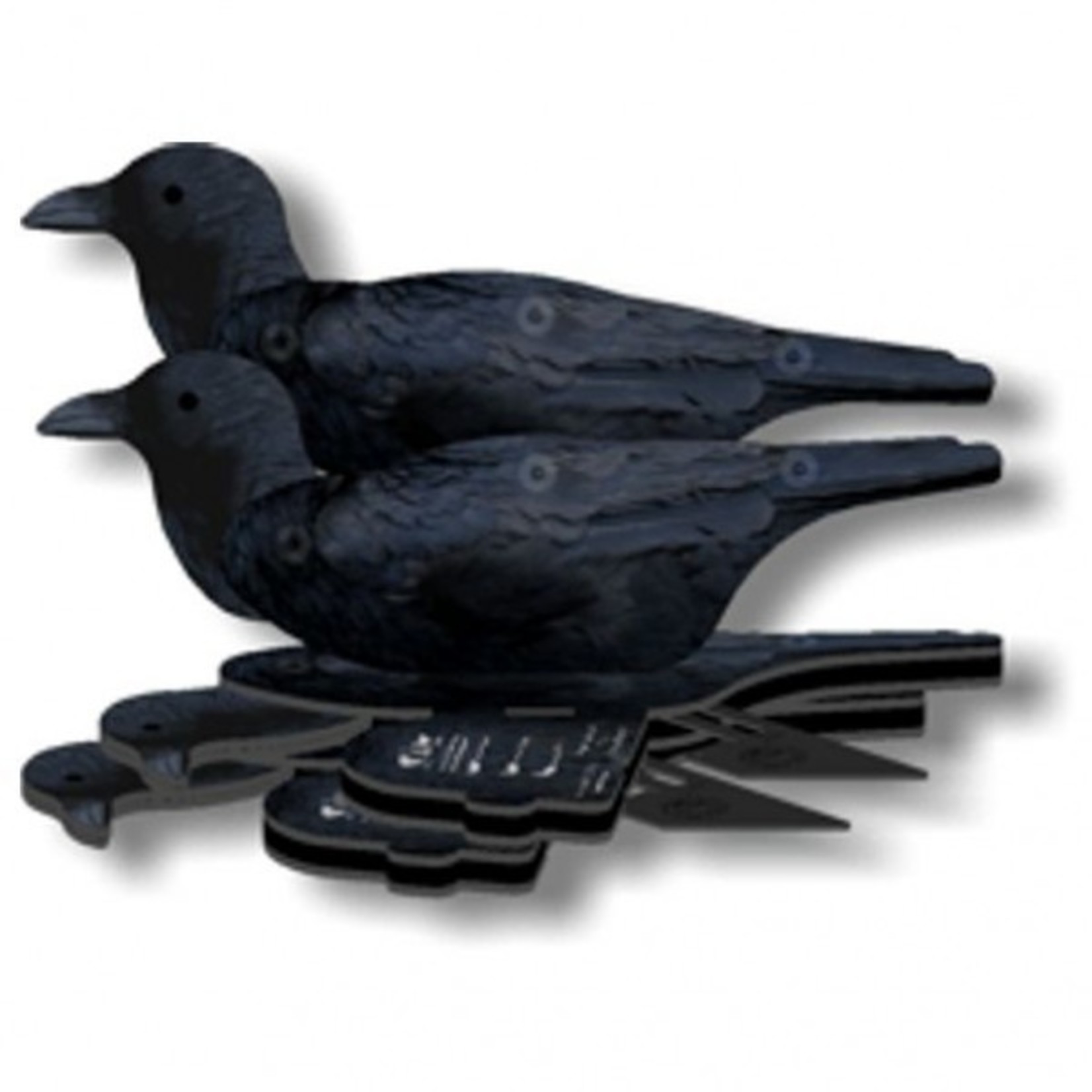 FUD crow 6pieces