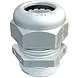 Dahua Kabelverschraubung M25, IP68 für 3/4" Rohr hellgrau Dahua Kabelverschraubung M25, IP68 für 3/4" Rohr hellgrau