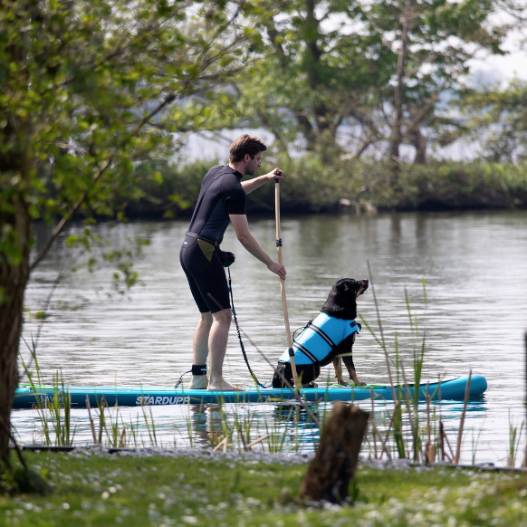 Stardupp Stardupp Dog Vest Aqua