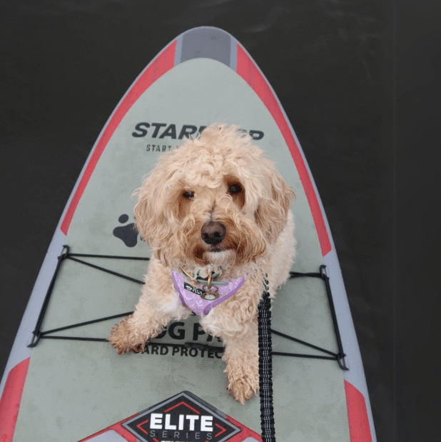 Stardupp Stardupp Dog Pad Board Protector XXL