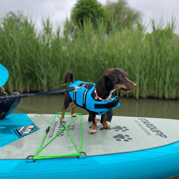 Stardupp Stardupp Dog Pad Board Protector XXL