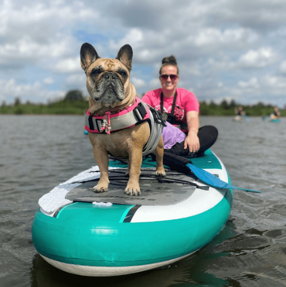 Stardupp Stardupp Dog Pad SUP Board Protector