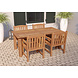 Tuintafel teak 250x100cm solide modern 250 x 100 cm Tuintafel teak 250x100cm solide modern 250 x 100 cm