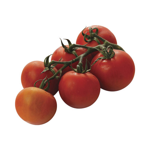 De Bio Groenteboer Trostomaten Bio 500gr De Bio Groenteboer Trostomaten Bio 500gr