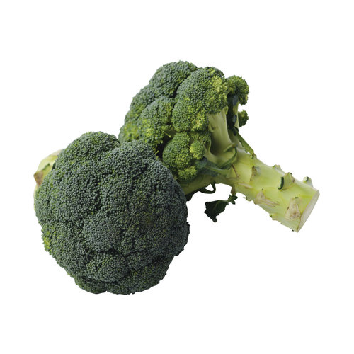 De Bio Groenteboer Broccoli Bio ca. 500gr De Bio Groenteboer Broccoli Bio ca. 500gr