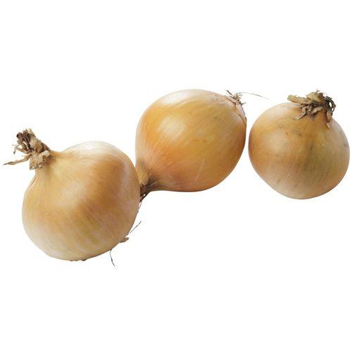 De Bio Groenteboer Uien Bio Middelgroot 750gr De Bio Groenteboer Uien Bio Middelgroot 750gr