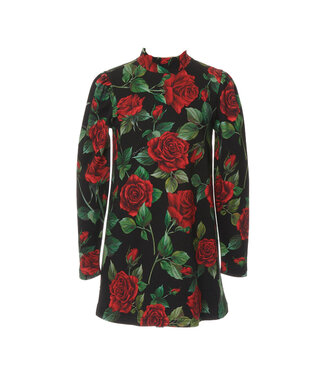 Dolce & Gabbana Dolce & Gabbana Long Sleeves Dress Rose Nero HN4VQ