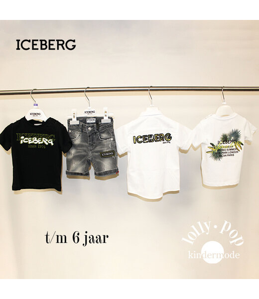 Iceberg 02