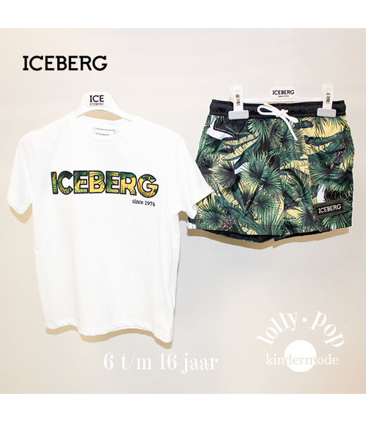 Iceberg 04