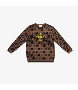 Fendi Fendi Pullover FFKnit Zucca JUG159_AEYD_F15B6