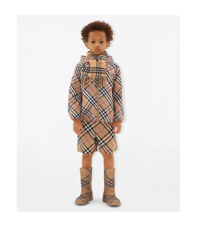 Burberry Burberry VTG CHK CASH SCARF Sand IP Check