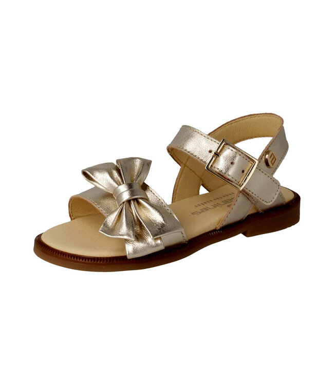 Andanines LAMINADO CHAMPAGNE