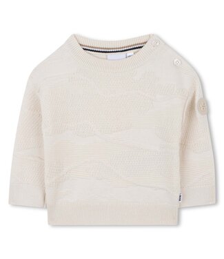 BOSS TRUI J52460/21C