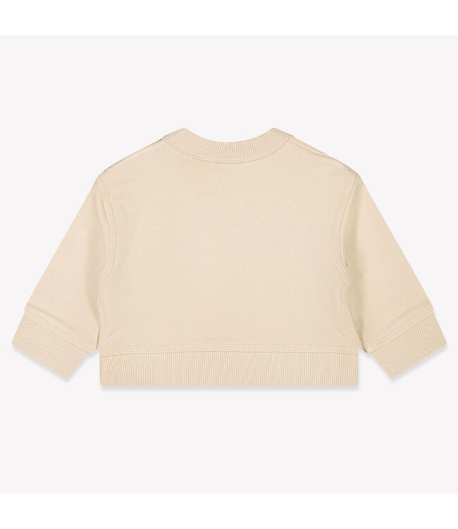 Burberry IB5 MN MATHEW ST SGN B8620