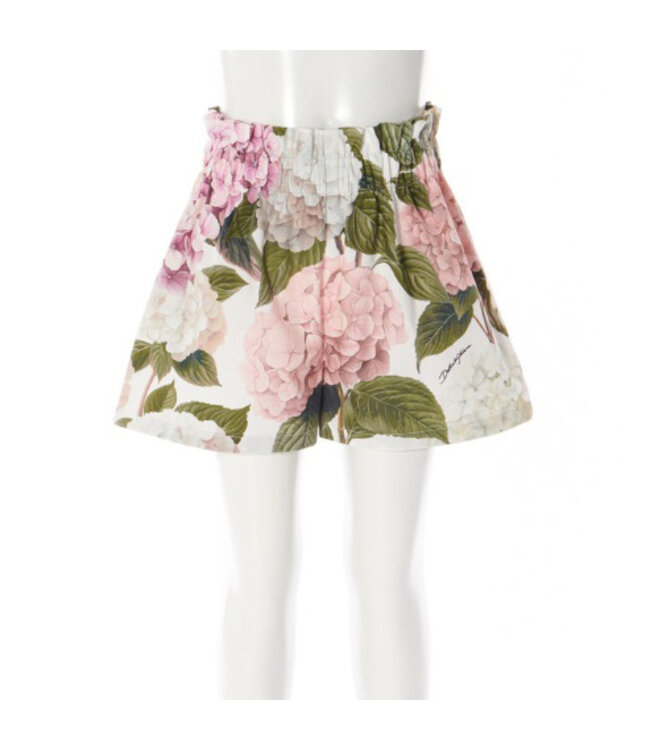Dolce & Gabbana Shorts L53Q43_HS5T6_HA5XG