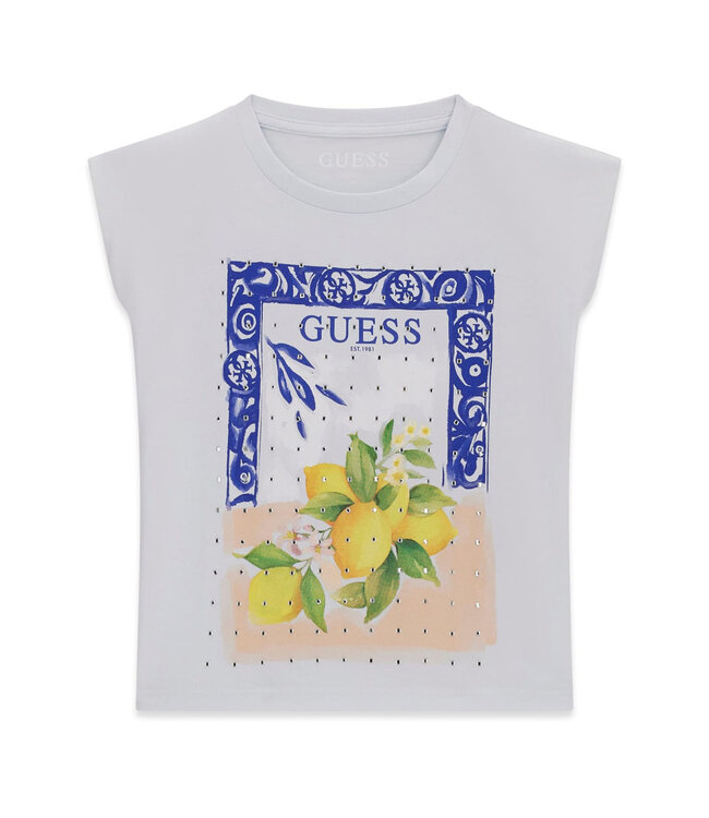 Guess OVERSIZE BOXY SS T-SHIRT J6GI12_K8HM4_A70N