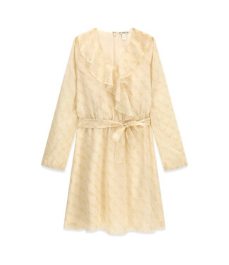 Guess CHIFFON LS DRESS J6RK05_WA2T0_P13W