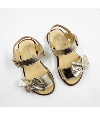 Andanines Laminado champagne 251503_5