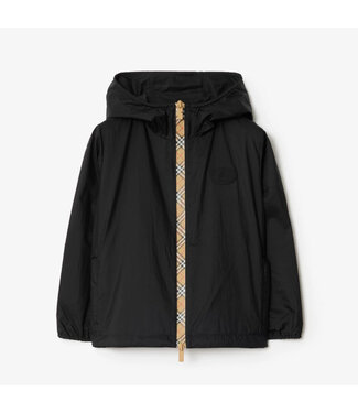 Burberry KB6 ROMAN CZ A1189