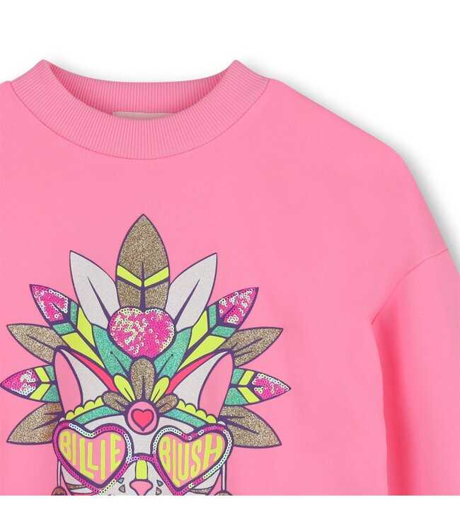 BILLIEBLUSH SWEATER U22401/462