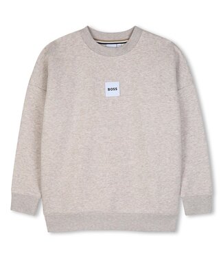 BOSS SWEATER J53394/B510