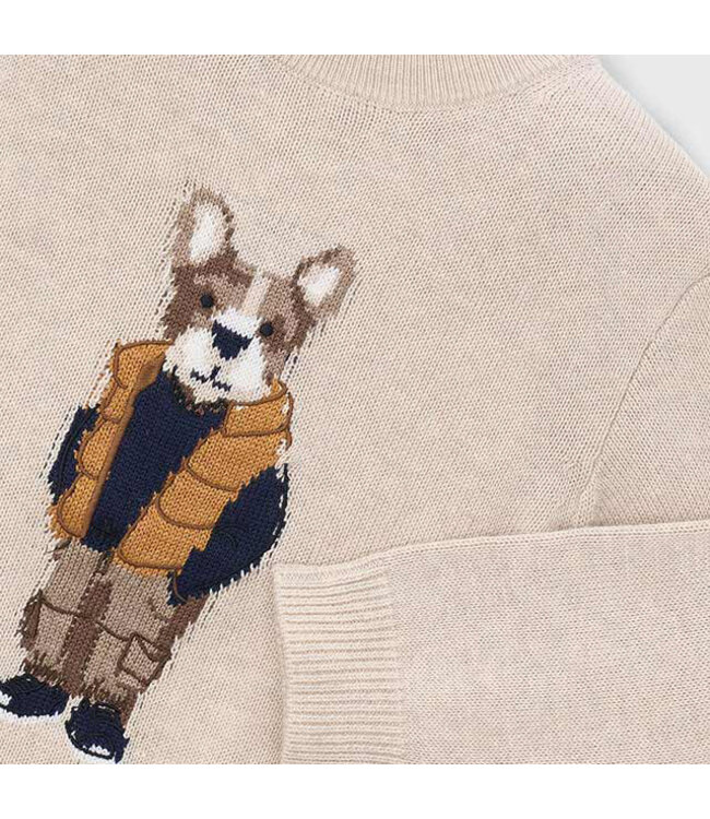 Mayoral Jumper 4306_019